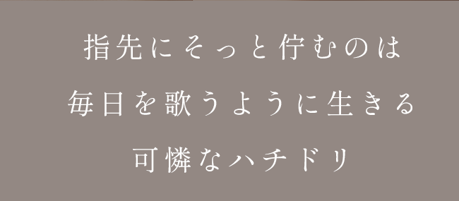 ハースケジュールバッグ