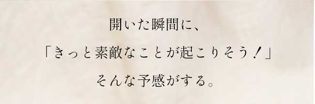 ハースケジュールバッグ
